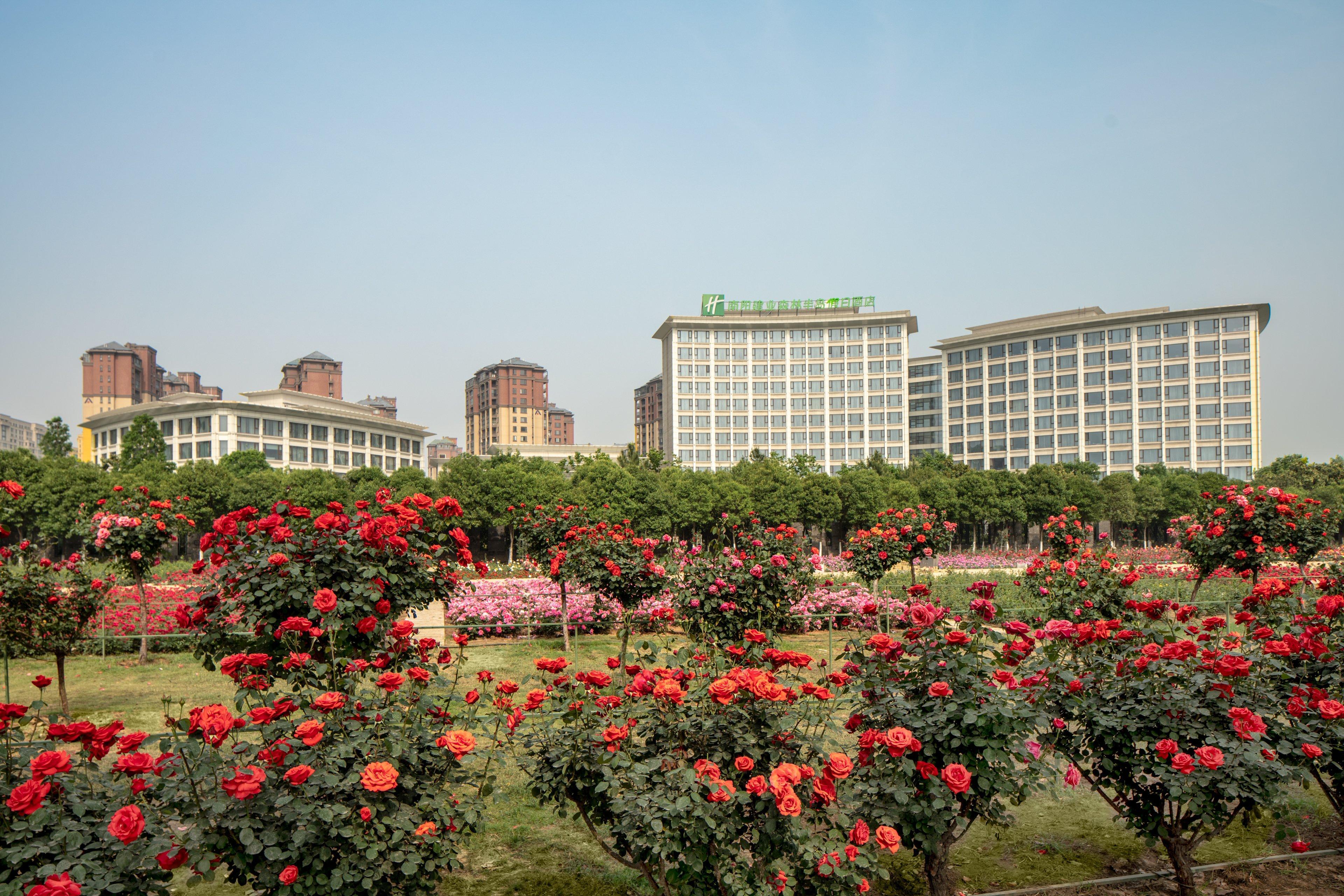 Holiday Inn Nanyang By Ihg Kültér fotó