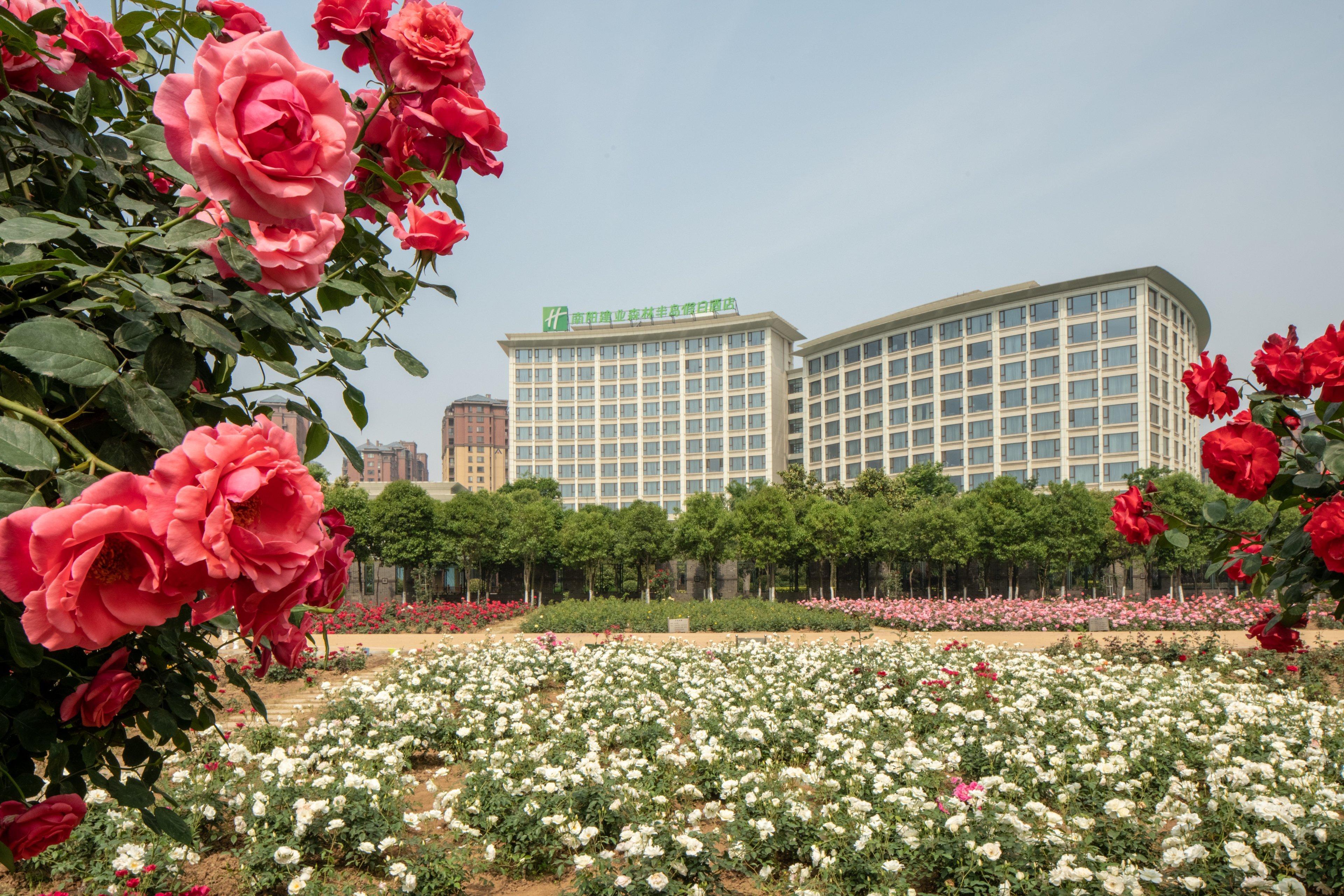 Holiday Inn Nanyang By Ihg Kültér fotó